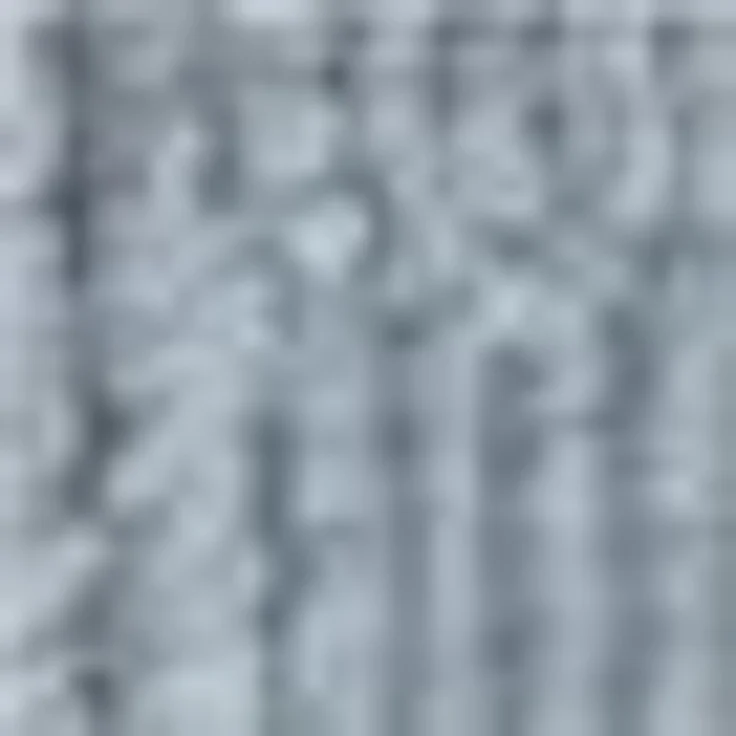 Möve Badematte Waffelpiquee, Höhe 6 mm, beidseitig nutzbar, Baumwolle – Bild 4