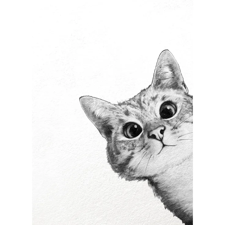 Katze Leinwandbild Weiß Schwarz 50x70 DD123175 Keilrahmenbild Wandbild Leinwand