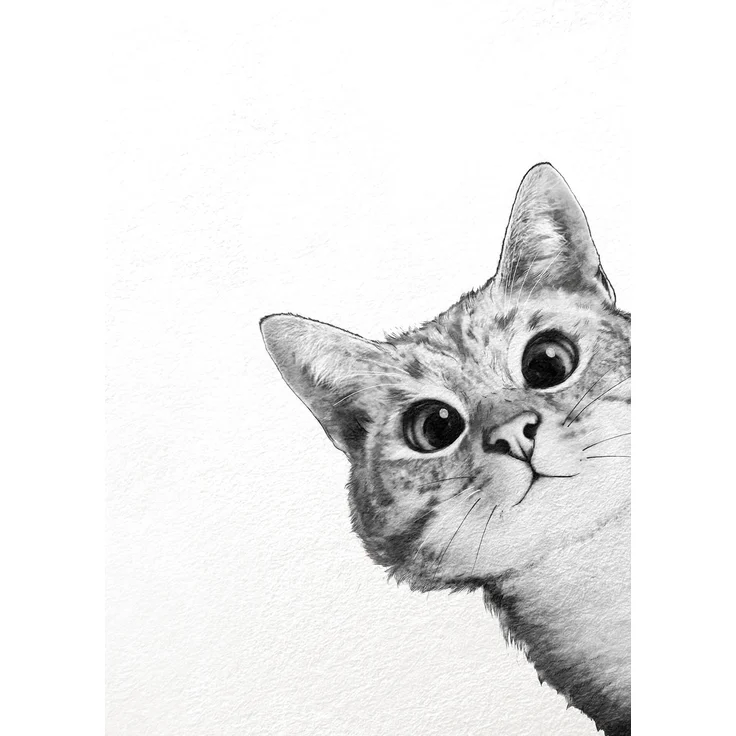Katze Leinwandbild Weiß Schwarz 50x70 DD123175 Keilrahmenbild Wandbild Leinwand – Bild 1