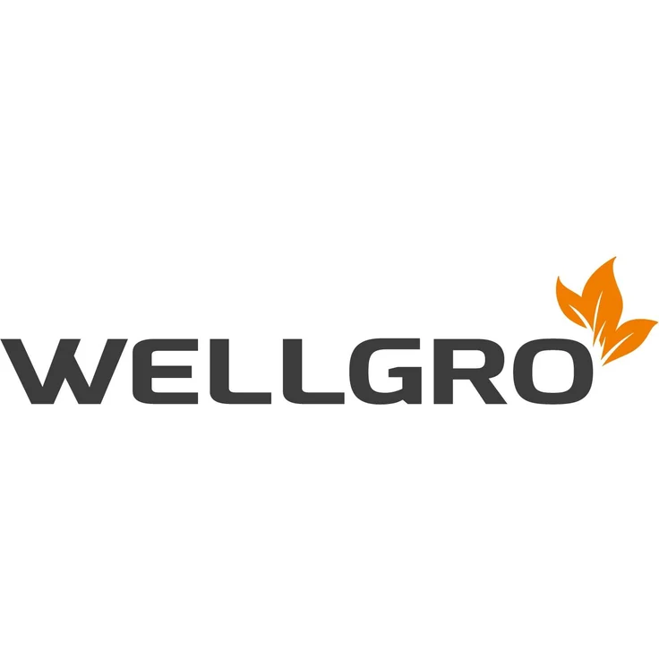 Wellgro Esslöffel Eierlöffel Porzellan (12 Stück) – Bild 7
