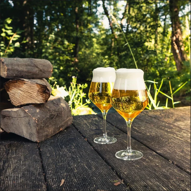 Eisch Craft Beer Experts Kelch 435 ml 2er Set in Geschenkröhre – Bild 4