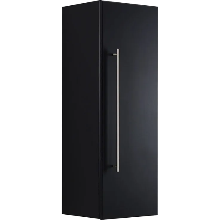 Hochschrank 100 cm schwarz : Schwarz