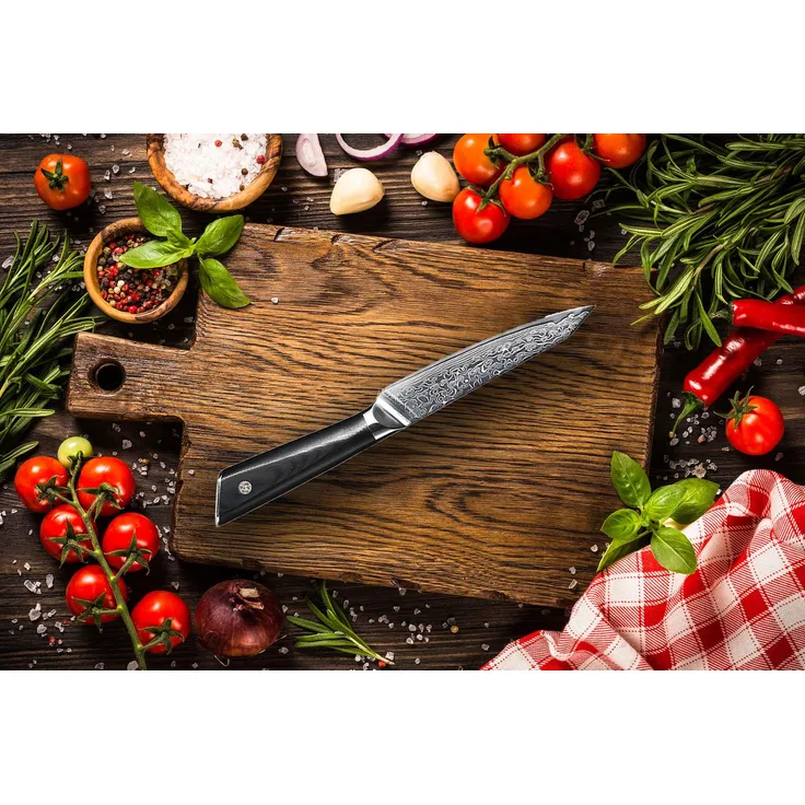 Gemüsemesser Obstmesser oder Tomatenmesser - Das Küchenmesser mit 13 cm Carbon Damast-Klinge