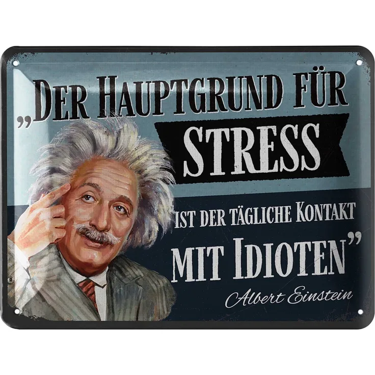 LANOLU Blechschild Einstein Hauptgrund für Stress - 15x20cm – Metall – Mehrfarbig – 15204