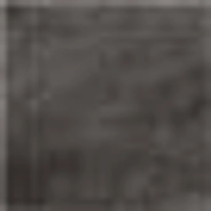 SCHÖNER WOHNEN-Kollektion Fellteppich Tender, fellförmig, Höhe: 26 mm, weich durch Microfaser, Kaninchenfell Haptik, Kunstfell, waschbar – Bild 2