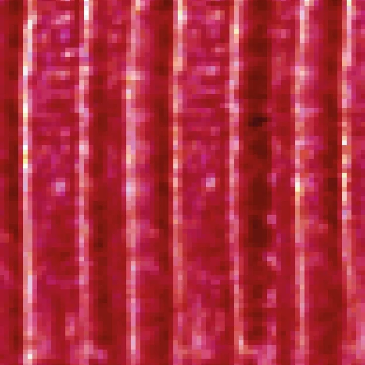 Arsvita Fadenvorhang Metallik-Optik mit Stangendurchzug, Türvorhang 140x250cm (Rot) – Bild 8
