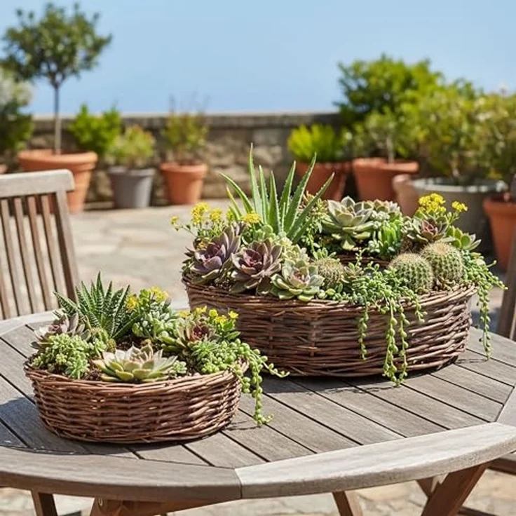 Spetebo Blumentopf Rattan Pflanzring natur (1 Set, 2 St, mit Folie), Weide Blumenschale zum direkten Bepflanzen – Bild 7