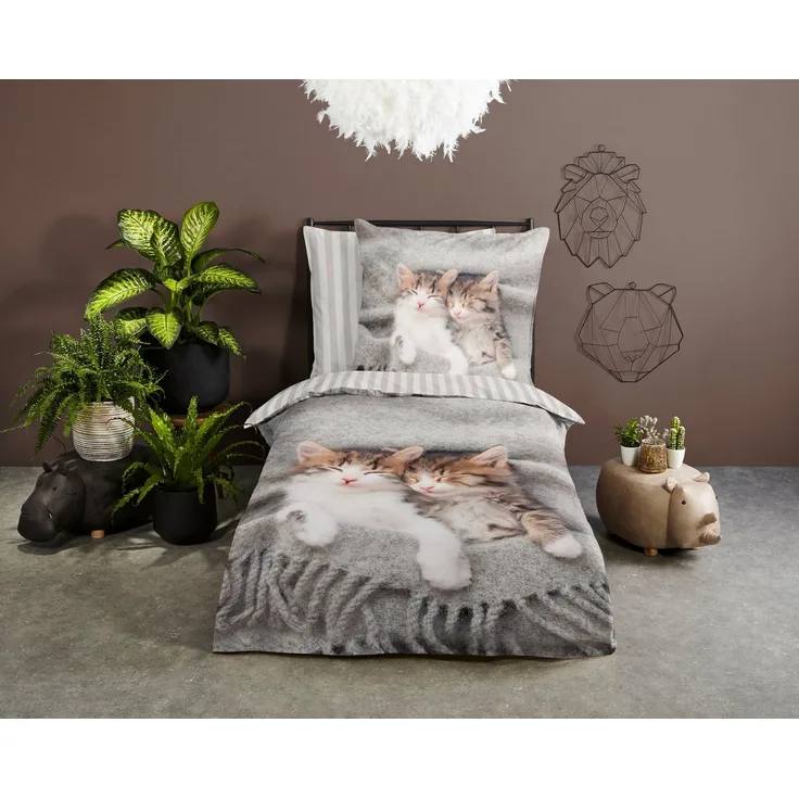 Pure Microfaser Bettwäsche 135 X 200 cm + 1- 80 X 80 cm Snooze kitten cats grau