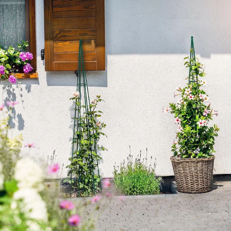 KADAX Gartenkegelstütze für Kletterpflanzen 150 cm – Bild 9