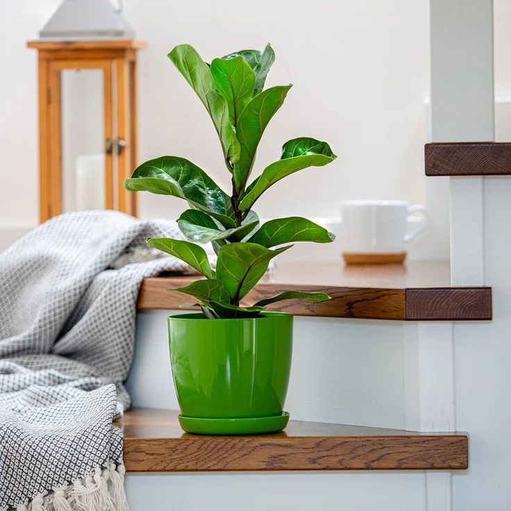 KADAX Blumentopf mit Ständer, Kunststoffabdeckung, Blumentopf 23 cm, Grün für Blumen – Bild 7