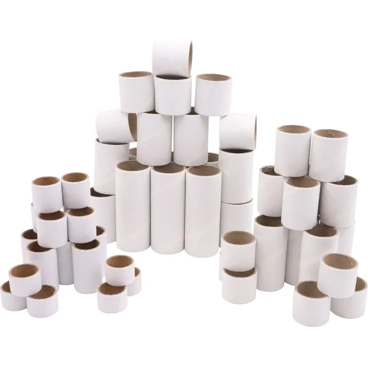 EDUPLAY 370175 Kartonrollen zum Basteln 54er Set
