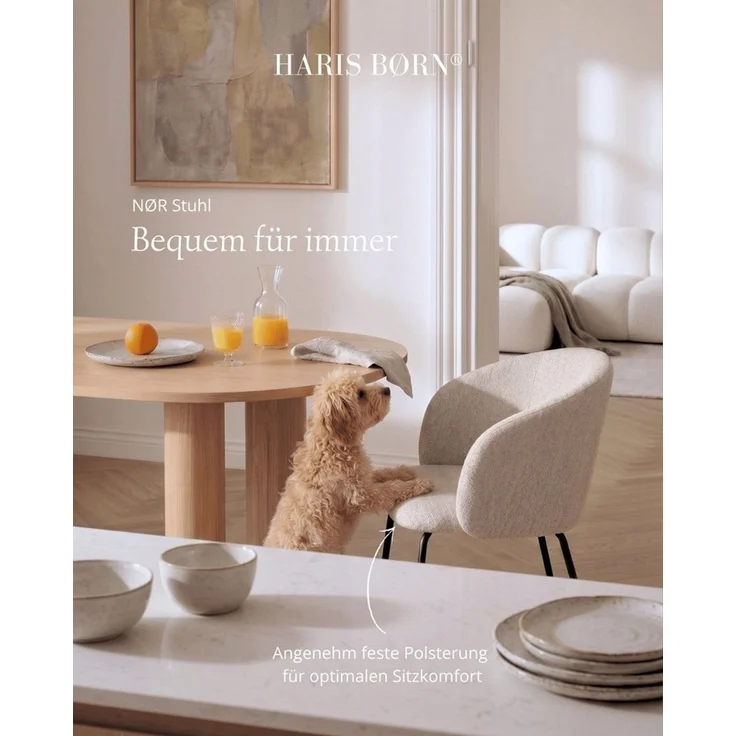 Haris Børn Esszimmerstuhl mit Armlehnen NØR - Hochwertige Polsterstühle für Esszimmer (Set, 8 St), Beige - Premium Esszimmer Stühle & Wohnzimmer Stühle – Bild 3