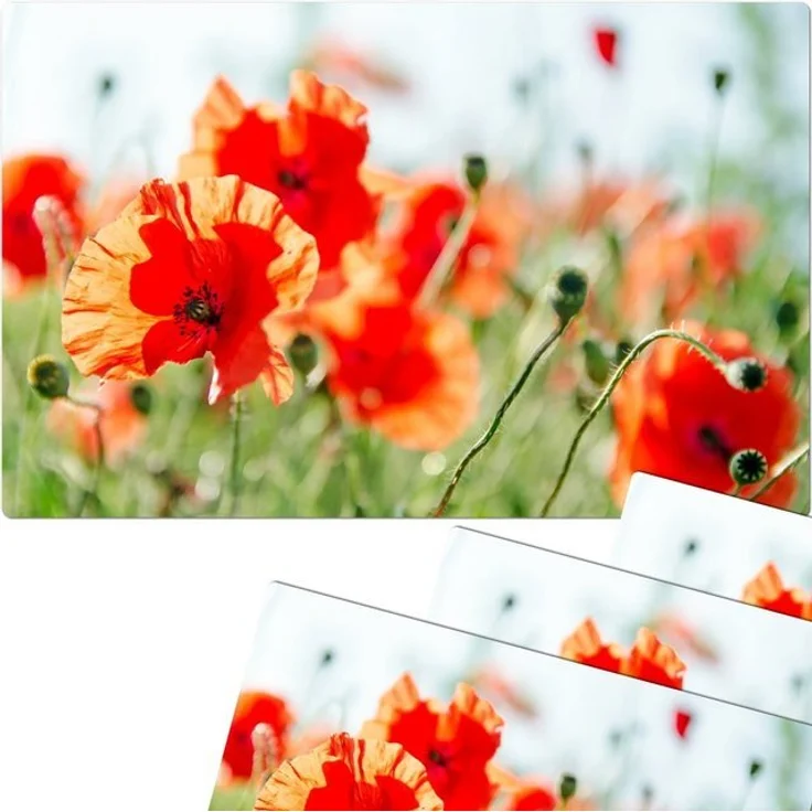 matches21 HOME & HOBBY Platzset Abwaschbare Tischsets 4er Set Sommer Mohn-Blumen, (4-St), Platzsets als Tisch-Untersetzer und Tisch-Deko für Esstisch Teller – Bild 2