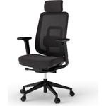 Ergotopia 'PureBack' ergonomischer Bürostuhl mit Lordosenstütze & 4D-Armlehne, Schwarz, mit Kopfstütze