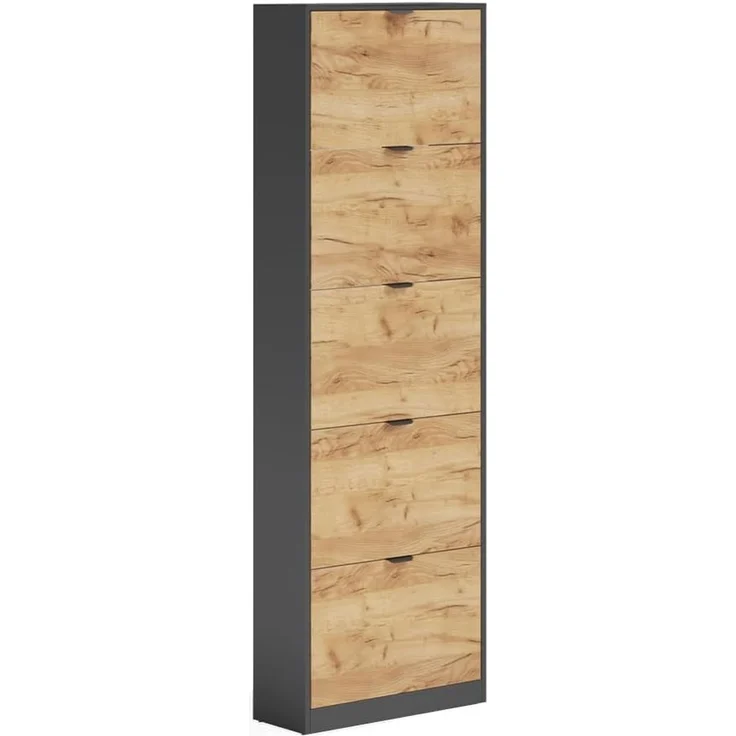 Schuhkipper Gizmo Goldkraft Eiche/Anthrazit 59 x 181.1 cm mit 5 Fächern Vicco – Bild 1