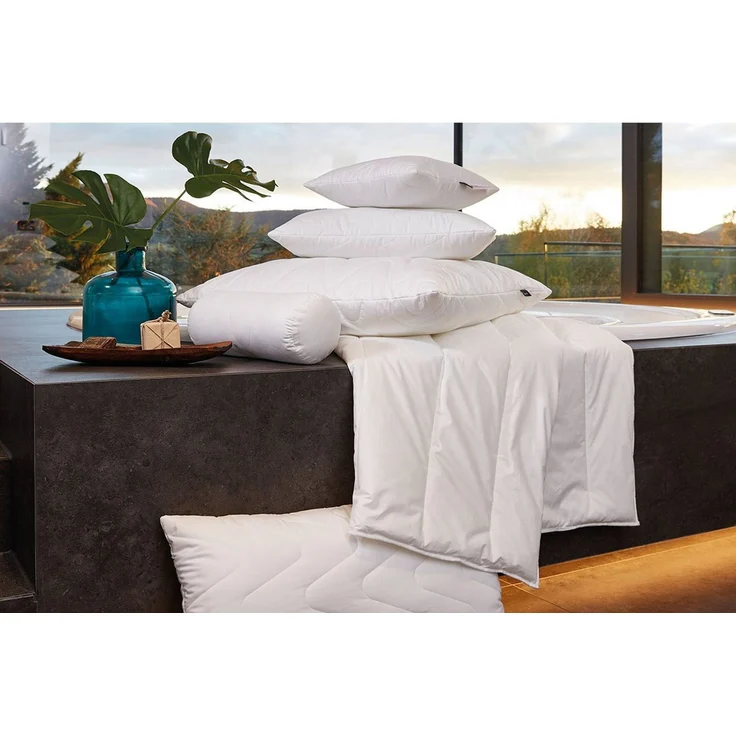 Centa-Star extra 1359.00 Aqua Aktiv Vierjahreszeitenbett (Combibett) 155x220 cm – Bild 1