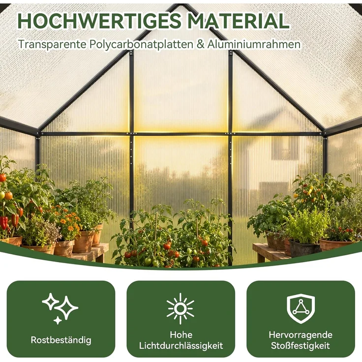 Aoxun Aluminium Gewächshaus mit Fundamentrahmen | Mehrere Ausführungen | 175Lx113Wx195Hcm | 4mm Polycarbonat Hohlkammerplatten | rostfrei, wetterfest & temperaturbeständig,Weiß – Bild 3