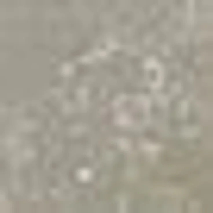 Beleuchteter Salzkristall PLANET Grey Line – Bild 2