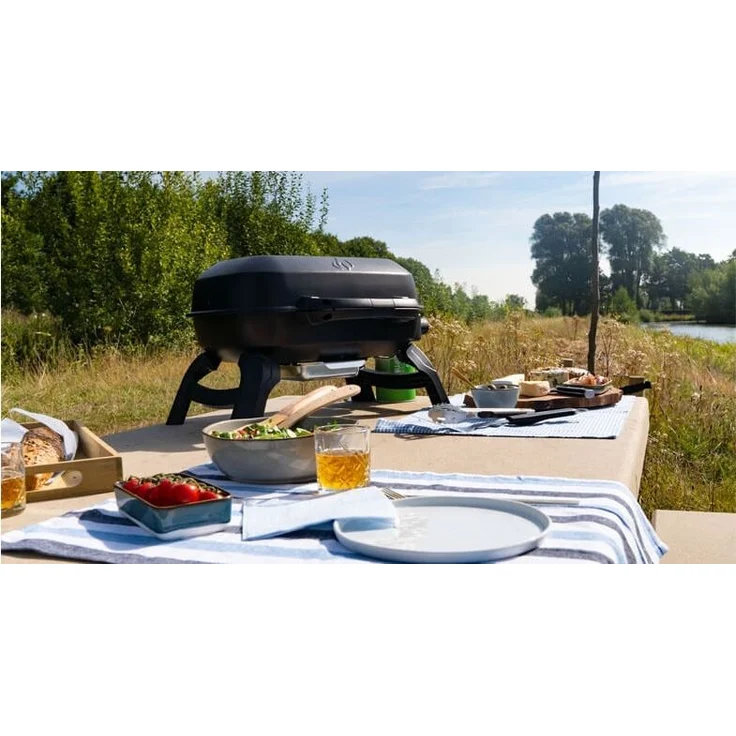 Napoleon Mobiler Gasgrill TravelQ 240 mit 1-Brenner 2,6 kW, schwarz – Bild 4