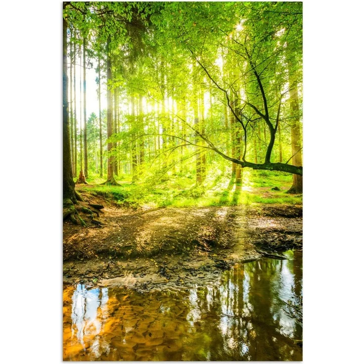MuchoWow Poster Wald - Landschaft - Wasser - Bäume - Sonne - Grün - Natur, (1 St), Poster ohne Rahmen, Wandbild, Wandposter, 30x20 cm – Bild 1