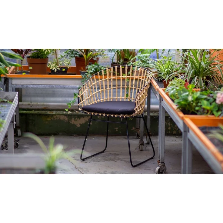 Esszimmerstuhl Armlehnenstuhl Rattan Farbe natur inkl. Kissen LIMA 80548219 – Bild 2