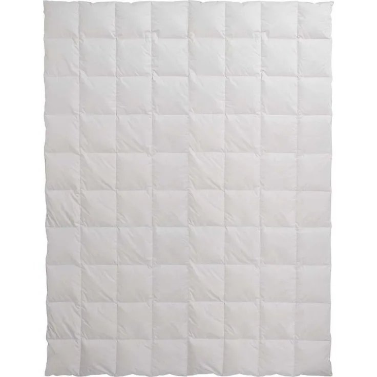 Centa-Star Ambiente Dauneneinziehdecke Extra-Leicht Sommerbett