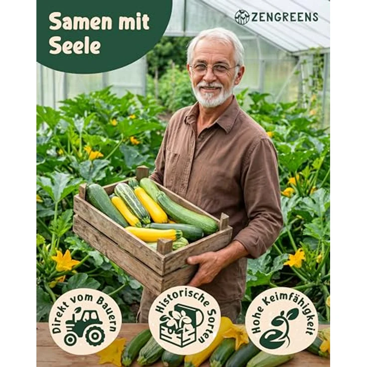 ZenGreens® - Bio Zucchinisamen im 6er Set - 6 Zucchini Samen für den einfachen Anbau im Garten, Balkon oder Hochbeet - Pflanzensamen - Saatgut – Bild 3
