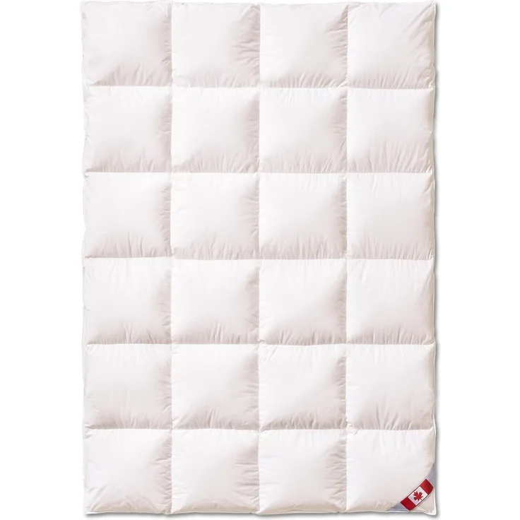 KÜNSEMÜLLER Gänsedaunenbettdecke Daunenkassettendecke "Canadische Schneegans"2 cm Innensteg, Warm, Füllung: 100% Gänsedaunen, Bezug: 100% Baumwolle, Premiumqualität, für ein exklusives Schlaferlebnis
