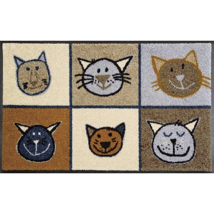Miau Miau – Bild 1