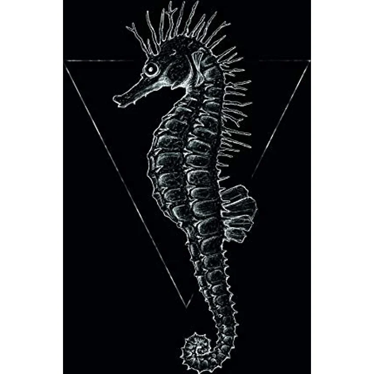Komar Wandbild Sea Horse Black, Poster 40 x 50 cm, hochwertiger Kunstdruck, schwarz-weiß, ohne Rahmen, fotorealistische Qualität, Made in Germany – Bild 1