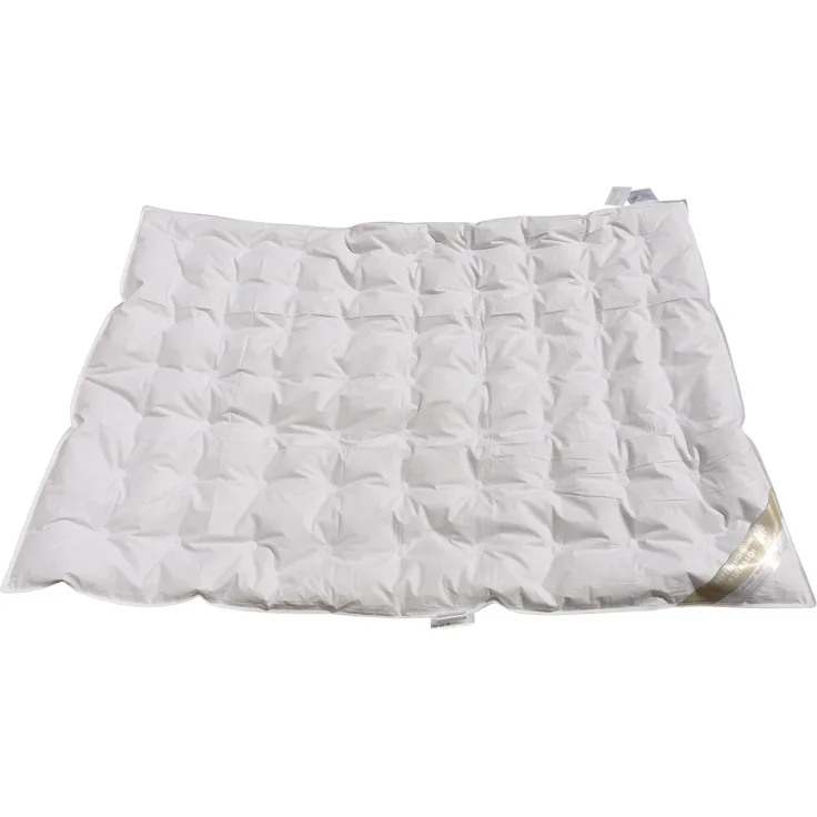 Betten Hofmann Luxus Kinder Sommer Daunendecke Punktstepp 100x135 cm 100% Daunen