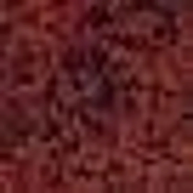 ASTRA Fußmatte Saugstark 601, rechteckig, Höhe: 9 mm, Schmutzfangmatte, In -und Outdoor geeignet – Bild 2