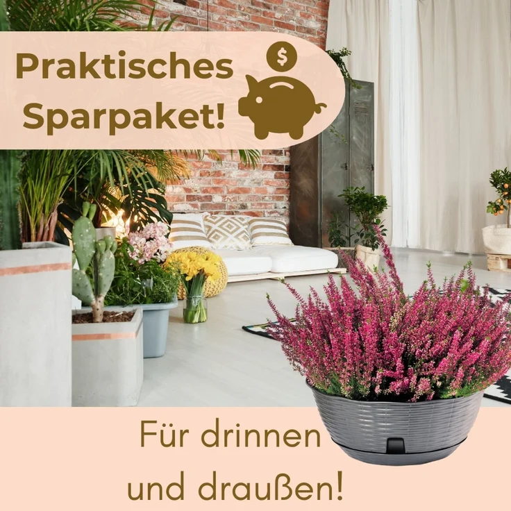 GarPet Blumenampel 2x Blumenampel Blumentopf hängend inkl. Kette Wandhalterung anthrazit – Bild 6