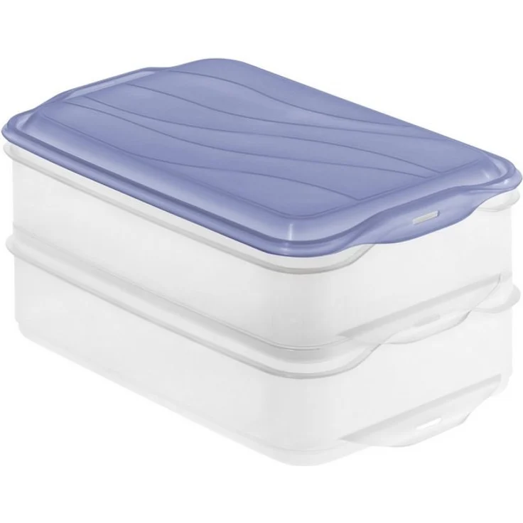 Rotho Kühlschrankdose Rondo 2 x 1,35 l horizon blue, Frischhaltedose – Bild 2