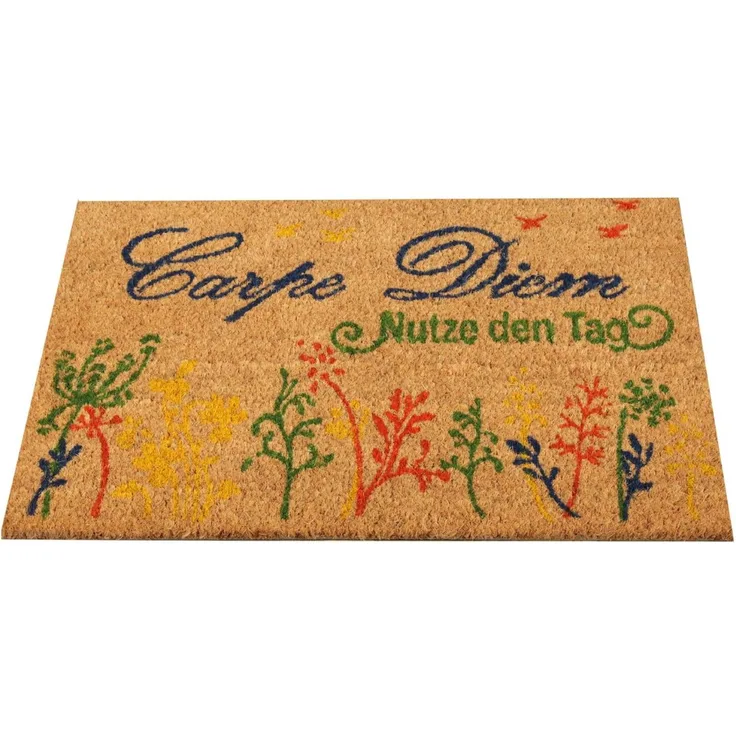 Bestlivings Fußmatte Kokos Schuhabtreter 40x60 cm ( Carpe Diem ), weitere Motive erhältlich