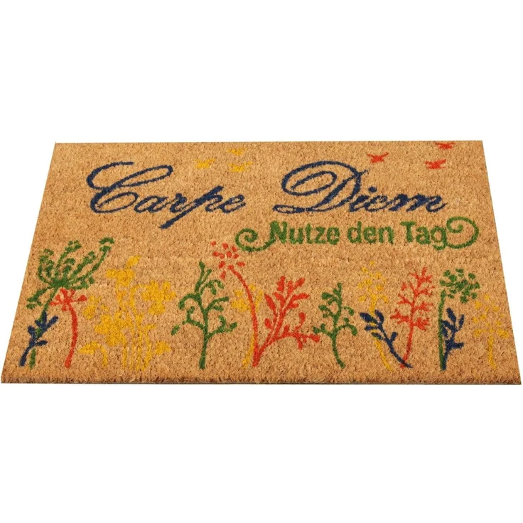 Bestlivings Fußmatte Kokos Schuhabtreter 40x60 cm ( Carpe Diem ), weitere Motive erhältlich – Bild 1