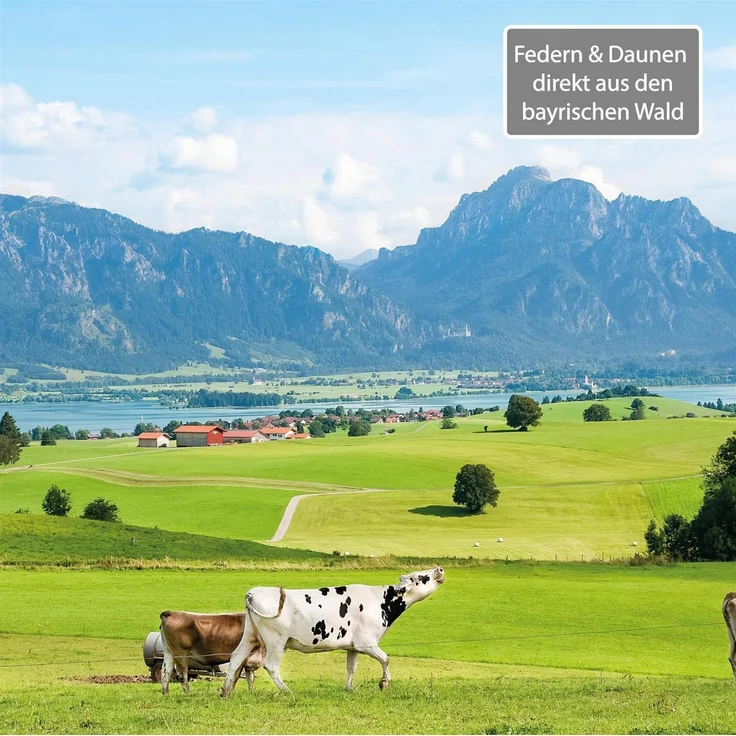 Hochwertiges 3-Kammer Kopfkissen in 80x80cm ( Feder / Daunen Füllung ) mit Bezug aus 100% Baumwolle, mit Daunen und Federn aus den bayrischen Bergen – Bild 4
