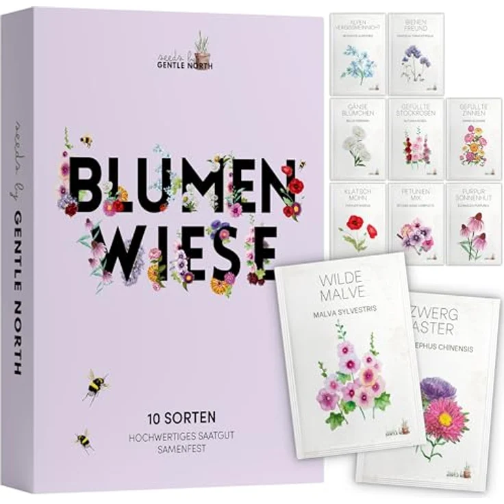 Blumen Samen Set - 10 bunte Blumensamen Sorten für den Garten oder Balkon, die Bienenweide und Wildblumenwiese - Blumenwiese Samen - bunte Wildblumensamen Mischung – Bild 2