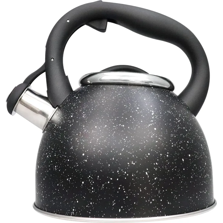 Schäfer Edelstahl-Flötenkessel, 2,5 L, Wasserkocher & Wasserkessel, für alle Herdarten geeignet, schwarz