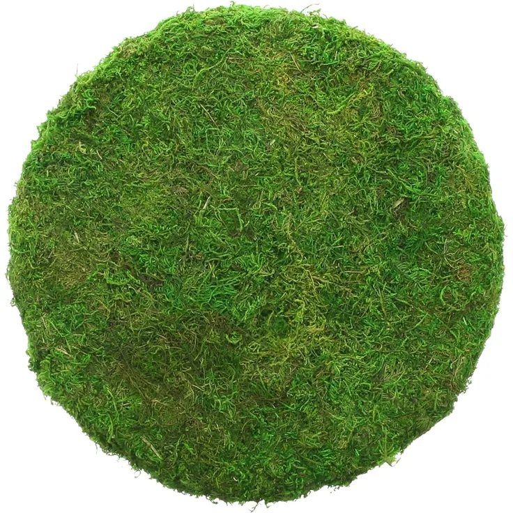 Dekoplatte "Moos" Dekoration dekorieren Deko Tischdeko Tisch Arrangement