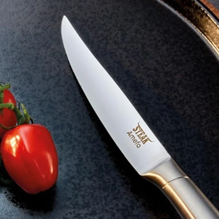 Amefa PRIME RIB Steakmesser Set 2-teilig hochglanzpoliert – Bild 4