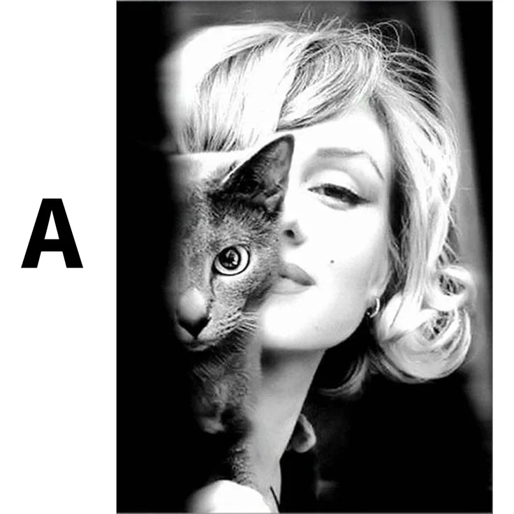 Poster Marylin Monroe · Wandbilder Wohnzimmer & Schlafzimmer · Deko Print Bilder · ohne Rahmen - A / 13x18cm