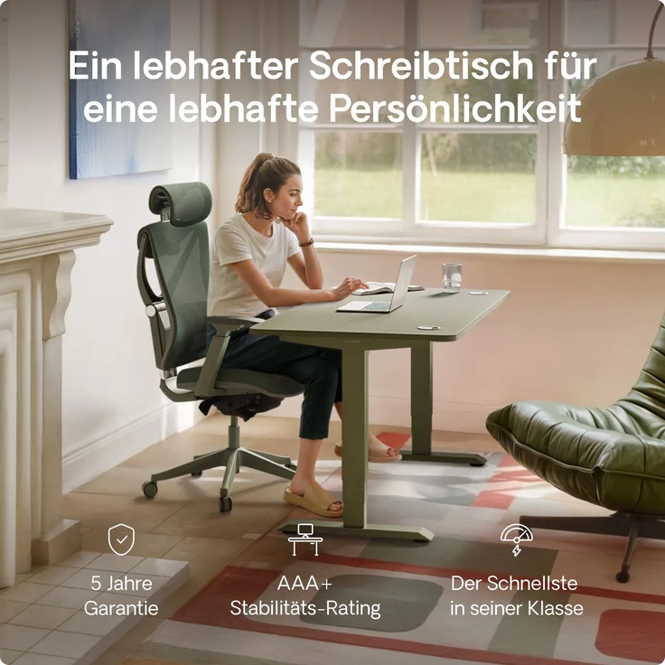 Desktronic HomePro Elektrisch höhenverstellbarer Schreibtisch 120x60cm Grün/Grün mit Memory-Funktion, Anti-Kollisions Technologie, USB-A und USB-C-Ladeanschlüssen – Bild 2