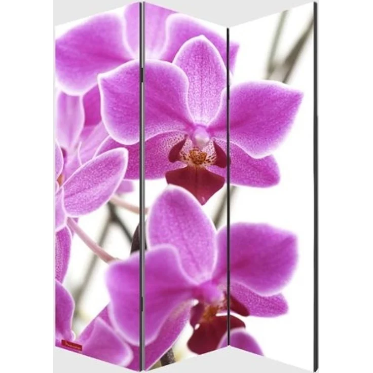 Foto-Paravent Paravent Raumteiler Trennwand M68 ~ 180x120cm, Orchidee – Bild 3