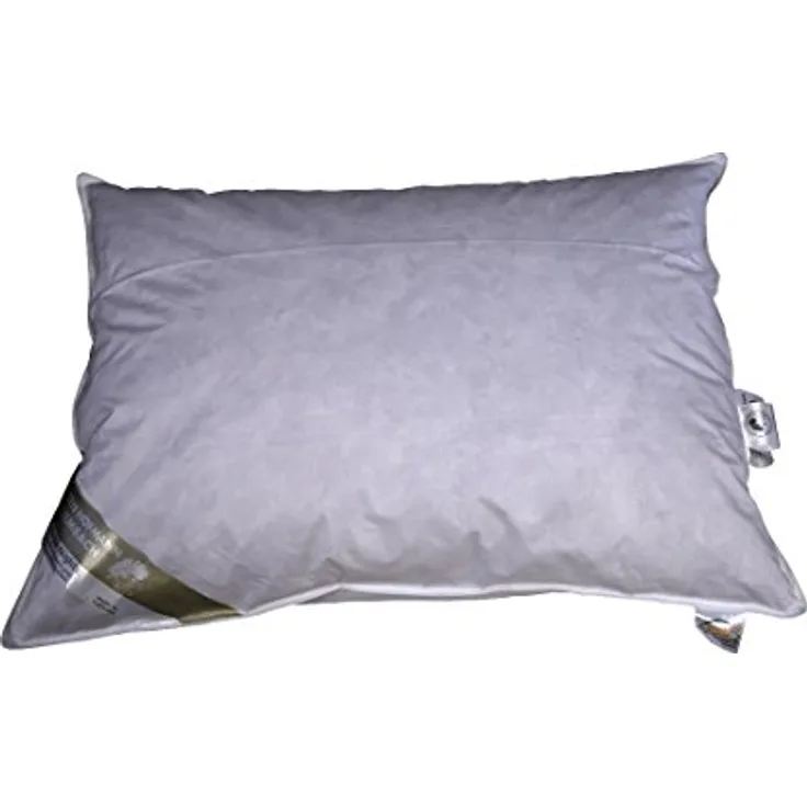 Betten Hofmann Canada Kopfkissen Polster 70x90 Federkissen Kissen 30% Daunen 1000 g
