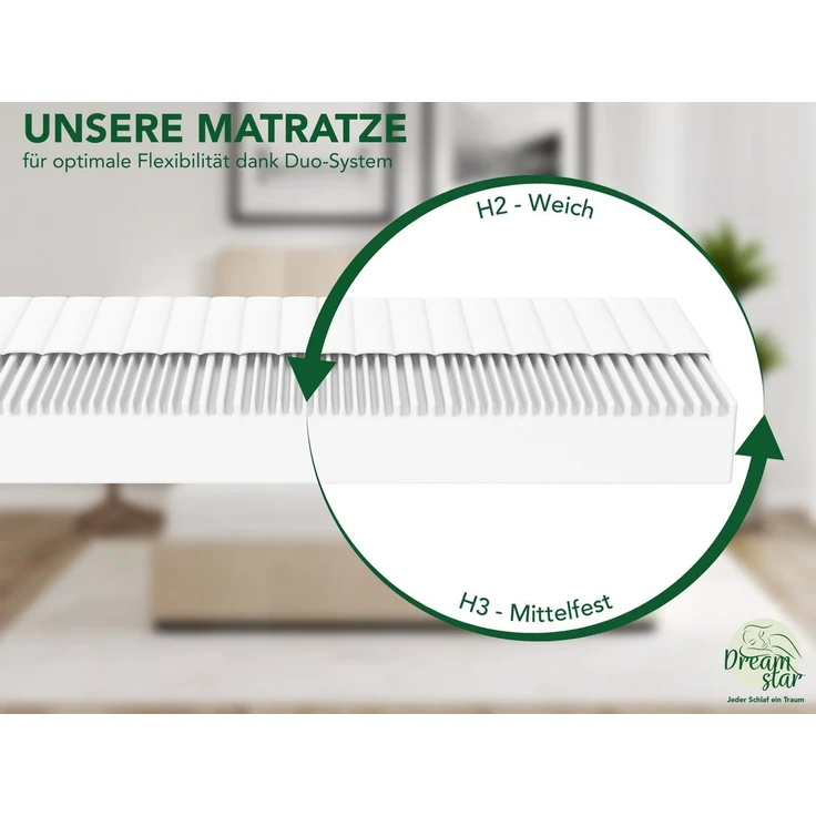 DREAMSTAR Easy Flex 7-Zonen Matratze 90x200 cm | H2&H3 | Ergonomische Kaltschaummatratze | Hypoallergen & Antibakteriell | Bezug abnehmbar & waschbar | Oeko-TEX® | (21cm, 90x200 cm) – Bild 3