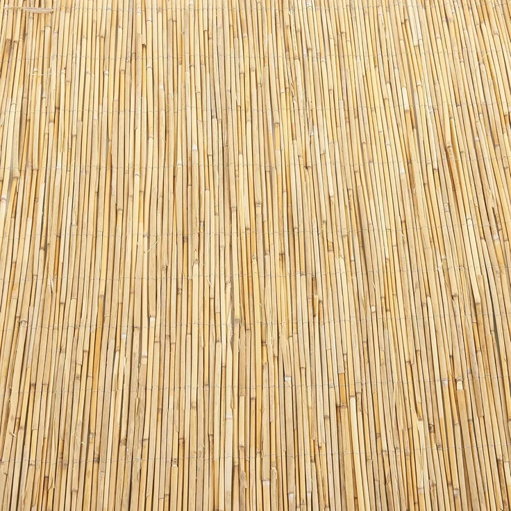 Schilfzaun Abbateggio 120x600 cm [casa. pro] – Bild 10