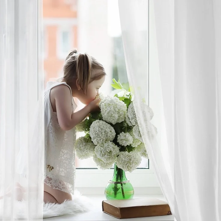 Deconovo Vorhang Transparent Voile Gardinen mit Ösen Wohnzimer Ösenvorhang 2er Set, Luftig Modern Store Dekoschals Schlafzimmer einfarbig pflegeleicht – Bild 2