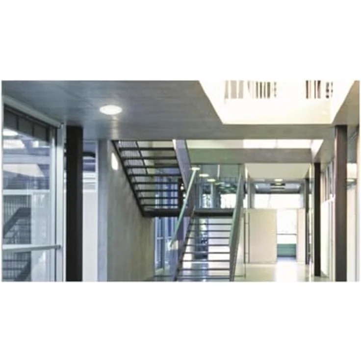 STEINEL LED-Decken/Wandleuchte IP54, nw RS PRO P1 mit hoher Lichtbeständigkeit – Bild 3