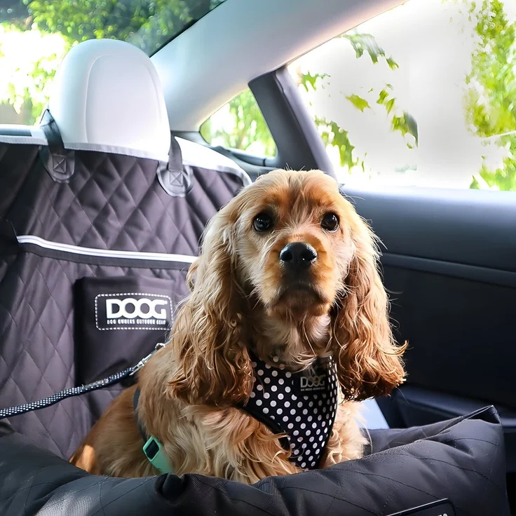 DOOG Autositz / Car Seat Black, schwarz, 50 x 56 cm – Bild 5